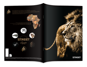 Тетрадка Street, А5, широки редове, 54л, safari