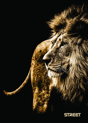 Тетрадка Street, А5, широки редове, 54л, safari