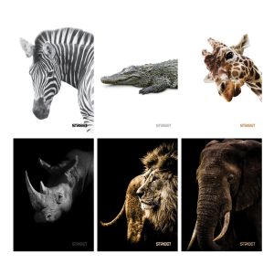 Тетрадка Street, А4, бели листа, 54л, Safari