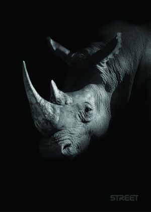 Тетрадка Street, А4, бели листа, 54л, Safari