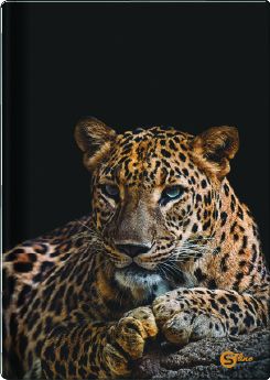 Бележник Street, А6, редове, 100 листа, твърди корици, 231876