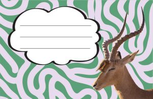 Етикети за тетрадка Street Animals Wild, опаковка 10 бр.