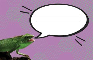 Етикети за тетрадка Street Animals Wild, опаковка 10 бр.