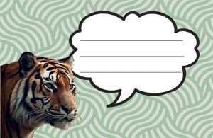 Етикети за тетрадка Street Animals Wild, опаковка 10 бр.