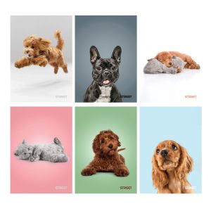 Тетрадка Street, А4, бели листа, 54л, Friends