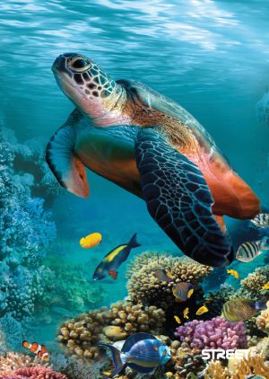 Тетрадка О плюс А5,80л,широки редове ,спирала,2024 момиче