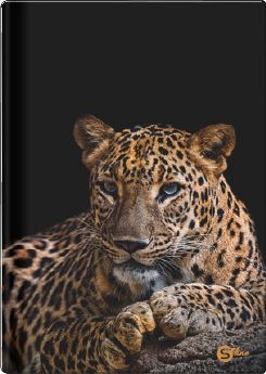 Тетрадка А5, S-line, 96 листа, ШР, 55g, тв. корици