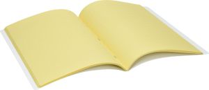 Тетрадка Street Dislectic, А4, квадратчета 1cm, 52 листа