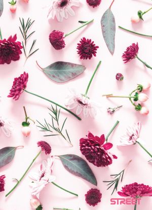 Тетрадка О плюс А4, 60л, широки редове, спирала, 2024